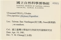 登錄號:A00003073藏品圖，第2張