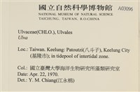 登錄號:A00003096藏品圖，第2張