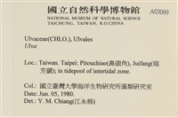 登錄號:A00003099藏品圖，第2張