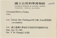 登錄號:A00003100藏品圖，第2張