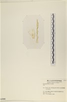 登錄號:A00003101藏品圖，第3張