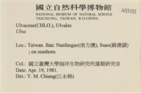 登錄號:A00003102藏品圖，第2張