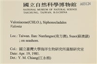 登錄號:A00003124藏品圖，第2張