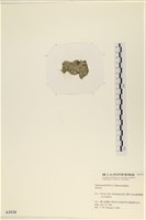 登錄號:A00003124藏品圖，第3張