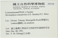 登錄號:A00003198藏品圖，第2張