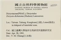 網目藻藏品圖，第2張