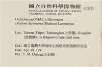 網目藻藏品圖，第2張