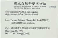 登錄號:A00003328藏品圖，第2張