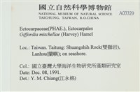 登錄號:A00003329藏品圖，第2張