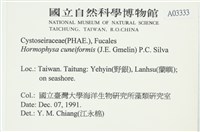登錄號:A00003333藏品圖，第2張