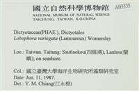 登錄號:A00003335藏品圖，第2張