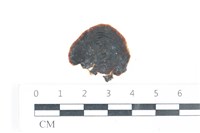 登錄號:A00003335藏品圖，第1張