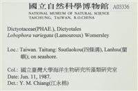 登錄號:A00003336藏品圖，第2張