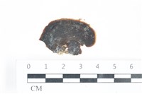 登錄號:A00003336藏品圖，第1張