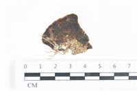 登錄號:A00003337藏品圖，第1張