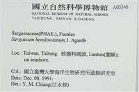 登錄號:A00003346藏品圖，第2張