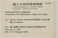 登錄號:A00003400藏品圖，第2張