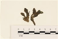 登錄號:A00003400藏品圖，第1張