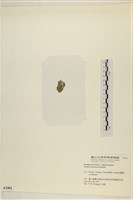 登錄號:A00003401藏品圖，第3張