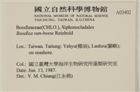 登錄號:A00003402藏品圖，第2張