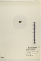 登錄號:A00003402藏品圖，第3張