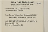 登錄號:A00003403藏品圖，第2張