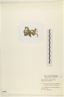 登錄號:A00003403藏品圖，第3張