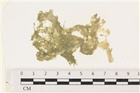 登錄號:A00003403藏品圖，第1張