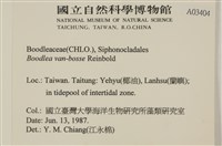 登錄號:A00003404藏品圖，第2張