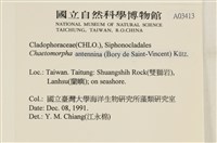 登錄號:A00003413藏品圖，第2張