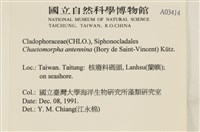 登錄號:A00003414藏品圖，第2張