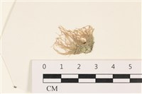 登錄號:A00003414藏品圖，第1張