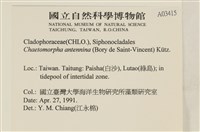 登錄號:A00003415藏品圖，第2張