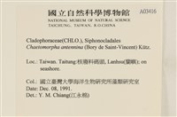 登錄號:A00003416藏品圖，第2張