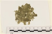 登錄號:A00003425藏品圖，第1張