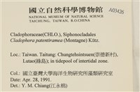 登錄號:A00003426藏品圖，第2張