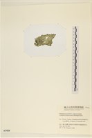 登錄號:A00003426藏品圖，第3張