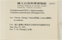 登錄號:A00003427藏品圖，第2張