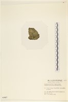 登錄號:A00003427藏品圖，第3張