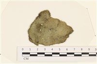 登錄號:A00003427藏品圖，第1張