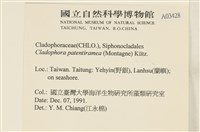 登錄號:A00003428藏品圖，第2張