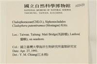 登錄號:A00003429藏品圖，第2張