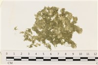 登錄號:A00003429藏品圖，第1張