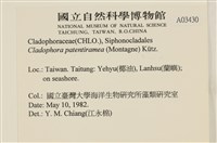 登錄號:A00003430藏品圖，第2張