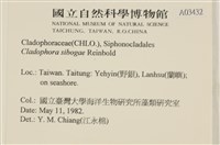 登錄號:A00003432藏品圖，第2張