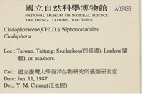 登錄號:A00003433藏品圖，第2張