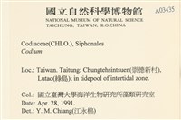 登錄號:A00003435藏品圖，第2張