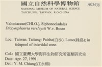 登錄號:A00003438藏品圖，第2張