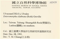 登錄號:A00003439藏品圖，第2張