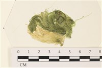 登錄號:A00003439藏品圖，第1張